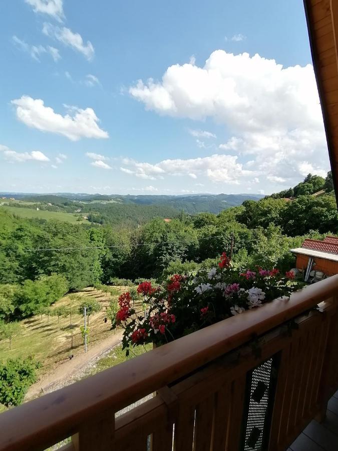Ferienwohnung Stoff Kitzeck im Sausal Exteriér fotografie