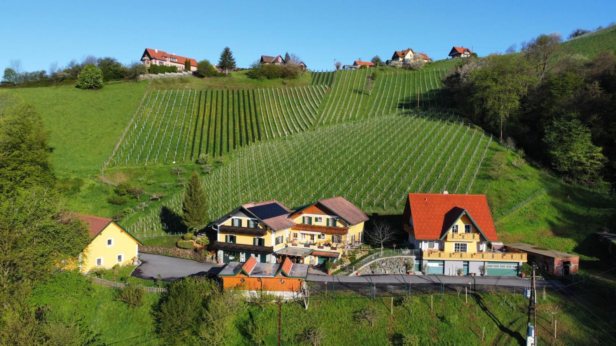 Ferienwohnung Stoff Kitzeck im Sausal Exteriér fotografie